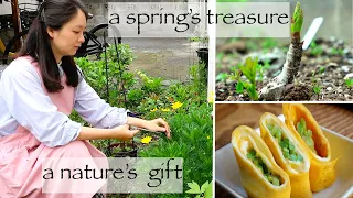 【dragon's teeth shoots】the tastiest tree shoot and the power of growth #vlog #slowliving