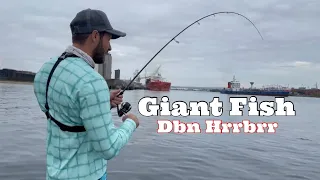 Light tackle fishing for GIANT FISH at Durban Harbour, South Africa.