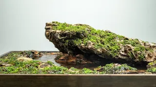 Creating a Mossy Landscape