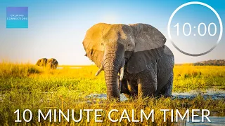 10 Minute Timer With Calming Music 🐘 ⏲ Countdown timer with inspiring Music, 10 minute pack up song