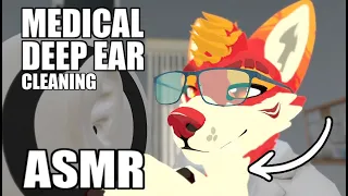 [Furry ASMR] Deep Ear Cleaning  🩺 (Soft-Spoken Doctor Roleplay) [3DIO Wax Removal]