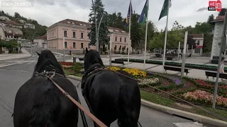 #živaistina #merak, provozao sam se kočijama kroz Cazin, starim preko 100 godina!