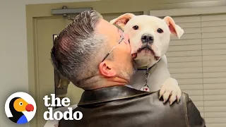 Guy Adopts 'Broken' Dog | The Dodo