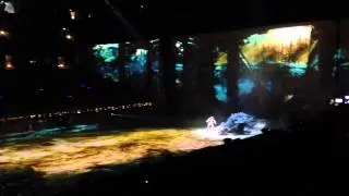 How To Train Your Dragon Live Spectacular (part 6 of 21)