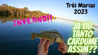 CARDUME PRA TODO LADO!! ASSIM FICA FÁCIL.. REPRESA DE TRÊS MARIAS.. Pescaria de tucunaré! Parte 1