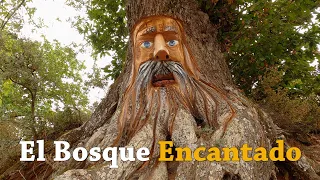 El Bosque Encantado