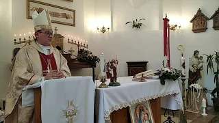 Епископ Николай Дубинин - Проповедь на III Воскресенье Пасхи