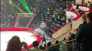 Слоны устроили драку в Казанском цирке. Elephants staged a fight in the Kazan circus