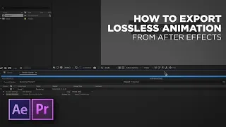 How to Export Lossless Animation from After Effects