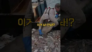 배에서 강퇴 당하는 상어 #shorts