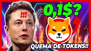 ⚠️ TIENES QUE SABER ESTO ANTES DE LA QUEMA DE SHIBA INU ⛔