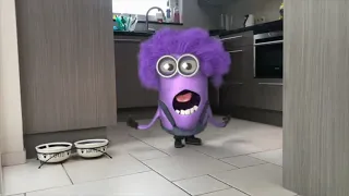 Oh No Minions Become Real !!! Cool Minion Animations Compilation .