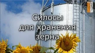 Силосы для хранения зерна на зернохранилище и элеваторе.