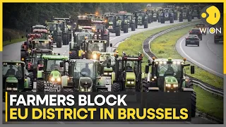 Farmers in tractors again block Brussels to protest EU policies | WION News