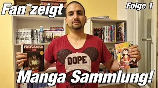 Fan zeigt seine Manga Sammlung‼️ Folge 1 | Staffel 1 | Fan Edition (MangaHunterTV Special)