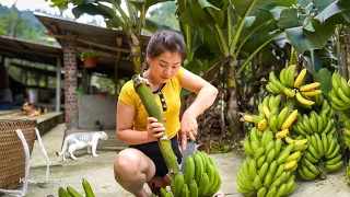 Harvesting Banana Goes To Market Sell - Take care of and plant more sugarcane | Nhất My Bushcraft