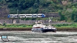 St. Goar [an der Loreley] mit SÜWEX, VIAS, vlexx, ICs, Güter- & Schiffsverkehr