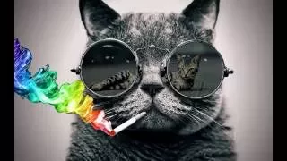 cats puff puff puffin away