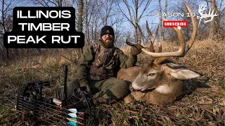 Illinois Whitetail Peak Rut Hunt