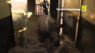 Viasat Nature - The Rhino Orphanage - promo