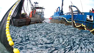 Amazing big nets catch hundreds of tons of herring on the modern boat - Biggest Fishing Net
