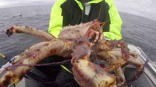 Супер поклёвка в море. Бывает раз в жизни / Super bite in the sea