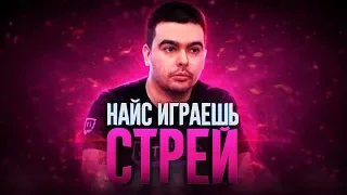 НАЙС ИГРАЕШЬ - СТРЕЙ | STRAY228