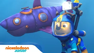 Paw Patrol : La Pat' Patrouille | La Patrouille DES MERS sauve un robot requin ! | Nick Jr.