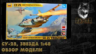 Обзор модели Су-25, Звезда 1/48