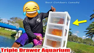 Triple Drawer Aquarium for Exotic Fish!  (Outdoors Comedy)