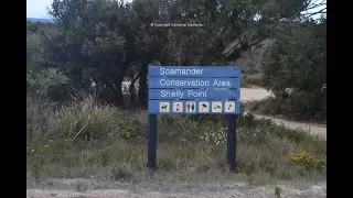 Camping Shelly Point Scamander Free Camping East Coast Tasmania