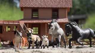 Good Grief - A Western Sketch |Schleich Models Movie|