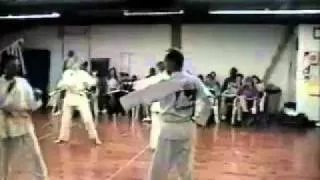 prikol karate