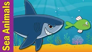 Under The Sea | Marine and Sea Animals Song for Kids | ESL for Kids | Fun Kids English
