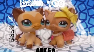 ~Littlest Pet Shop~ MV =Bahh Tee-Ангел=