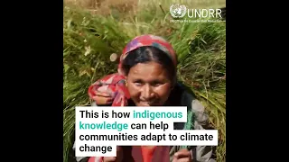 3 reasons why Indigenous peoples and forest communities are central to solving the climate crisis