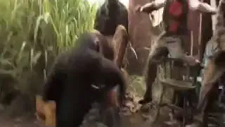 Monkey Shooting  AK47   Real Thug life funny