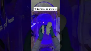 19 Semanas de gravidez, olha a maquete do tamanho real