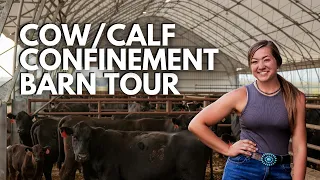 COW/CALF ACCUSTEEL BARN TOUR