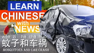 Learn Chinese with News: 蚊子致车祸Car accident by a mosquito/HSK1-6/Listening and speaking 2020