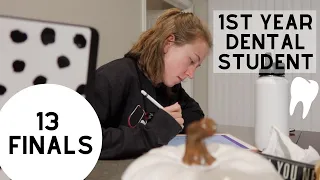 Finals Week in Dental School: What are they really like?