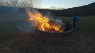 Burning 12 christmas trees