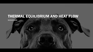 THERMODYNAMICS: Thermal Equilibrium & Heat Flow