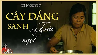 Truyện Lê Nguyệt: CÂY ĐẮNG SANH TRÁI NGỌT | Một câu chuyện về nhân quả