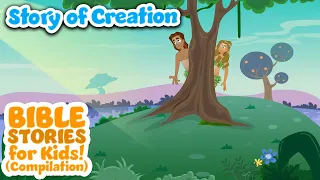 Story of Creation - Bible Stories For Kids! (Compilation)