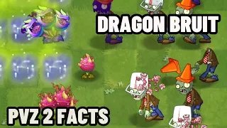 Facts About NEW PLANT Dragon Bruit from PvZ 2 - Plants vs. Zombies 2