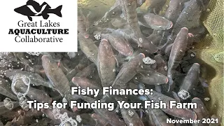 Fishy Finances: Tips for Funding Your Fish Farm