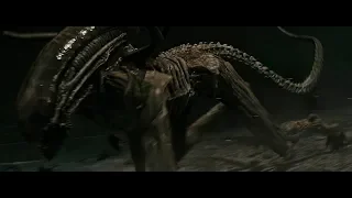 Most creative movie scenes from Alien Covenant (2017)