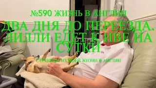 Переезд. Два дня до нашего переезда. Лилли едет к Иве на сутки. №590 Жизнь в Англии