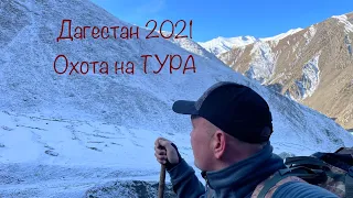 Горная охота в Дагестане. Тур на Дагестанского ТУРА.